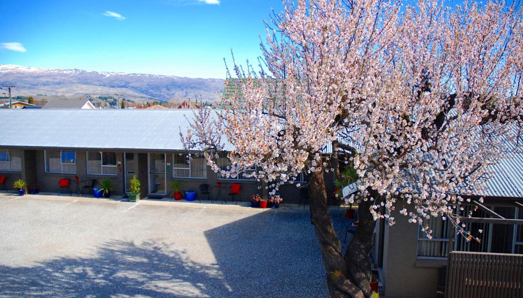 Motel Almond Court
